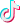 TikTok Icon